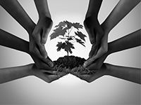 Protection et assistance humanitaire 